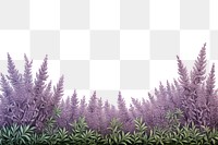 PNG  Lavender landscape outdoors nature