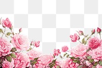 PNG  Flower rose backgrounds blossom
