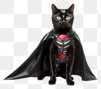 PNG Cat in superhero costume animal mammal pet.