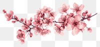 PNG Screen-printed cherry blossom flower plant white background.