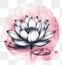 PNG Lotus drawing flower circle.