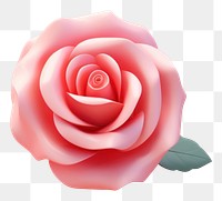 PNG Rose flower plant inflorescence.