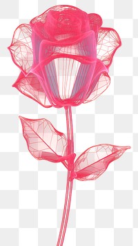 PNG  Neon rose wireframe inflorescence accessories fragility.