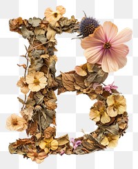PNG Alphabet B font flower plant art.