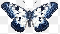 PNG Indigo moth butterfly animal insect
