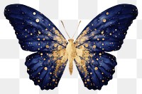 PNG Indigo butterfly animal insect moth