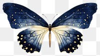 PNG Indigo butterfly animal insect moth