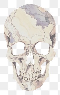 PNG Skull marble wallpaper science anatomy pattern.