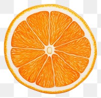 PNG Orange grapefruit plant food