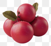 PNG Cranberries fruit plant food.