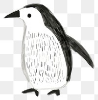 PNG Penguin animal bird white background.