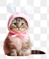 PNG Cat wearing bunny costume portrait animal mammal.