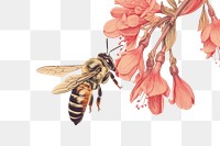 PNG Vintage drawing of bee flower animal insect