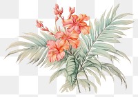 PNG Vintage drawing of palm flower sketch pattern
