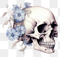 PNG Skull with floral illustration drawing flower sketch.