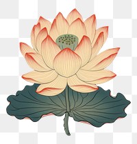 PNG Ukiyo-e art print style lotus pattern flower petal.