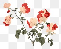 PNG Ukiyo-e art print style sweet pea blossom flower plant.