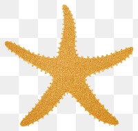PNG Starfish icon shape white background invertebrate.