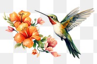 PNG Hummingbird with flower animal white background creativity.