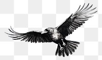 PNG Crow animal flying black.