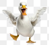 PNG Happy smiling dancing duck animal goose white.