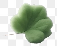 PNG Clover leave plant green leaf.