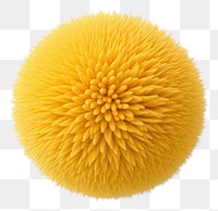 PNG Sphere simplicity cantaloupe freshness.
