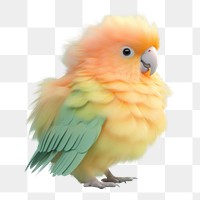 PNG Parrot animal bird lovebird.