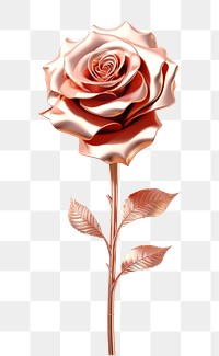 PNG Rose flower petal plant.