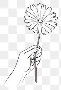 PNG Daisy drawing holding flower.