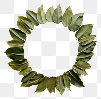 PNG Banana leaves circle wreath shape.