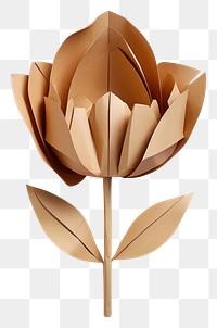 PNG Origami plant paper leaf.