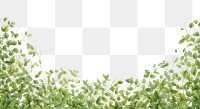 PNG  Backgrounds plant green herbs.