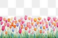 PNG  Tulip backgrounds outdoors flower.