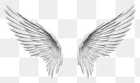 PNG Wings drawing sketch white.