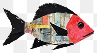 PNG Fish collage art animal.