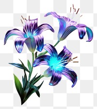 PNG Neon lily flower purple violet.