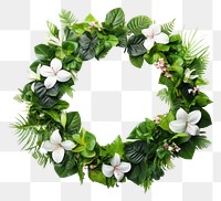 PNG Wreath wreath flower plant.