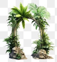 PNG Tropical Arch vegetation outdoors plant.
