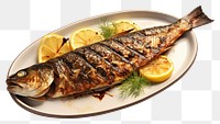 PNG  Grilled Fish fish seafood sardine.