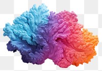 PNG Colorful plaster coral white background undersea outdoors.