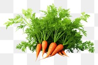PNG Carrot vegetable plant food.