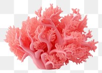 PNG Foliose coral food white background underwater.