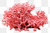 PNG Pink decorative coral pink white background microbiology.