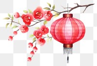 PNG Watercolor illustration chinese lantern flower plant white background.