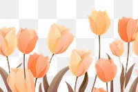 PNG Aesthetic tulip background backgrounds flower plant.