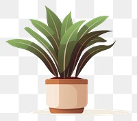 PNG Staghorn fern in a pot plant leaf white background.