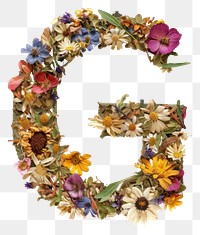 PNG Alphabet G font flower wreath plant.
