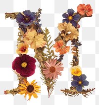 PNG Alphabet M font flower art plant.