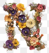 PNG Alphabet N font flower art plant.